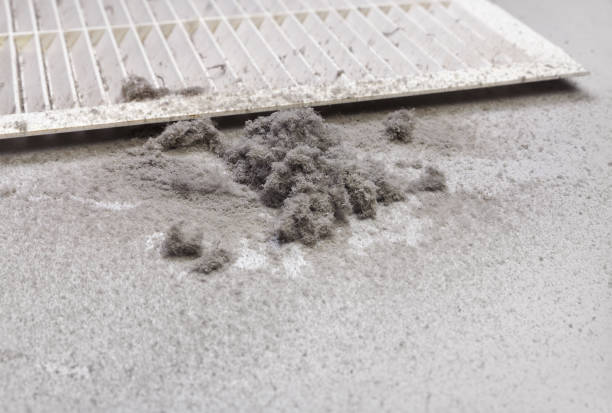 Best Air Duct Cleaning Near Me  in South Wallins, KY