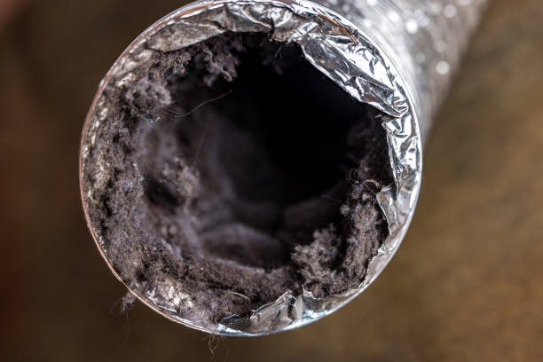 Best HVAC Maintenance and Cleaning  in South Wallins, KY