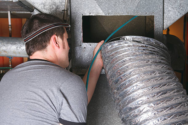 Best Local Air Duct Cleaning Services  in South Wallins, KY