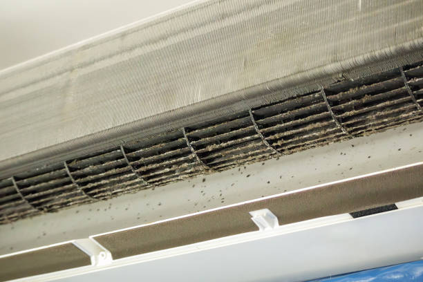 Best Ventilation Cleaning Services  in South Wallins, KY