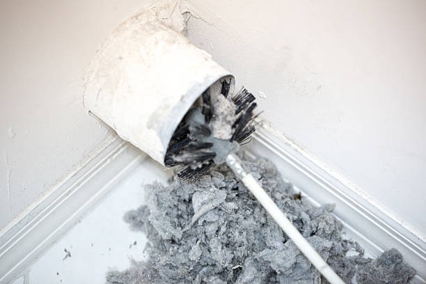 Best Affordable Air Duct Cleaning  in South Wallins, KY